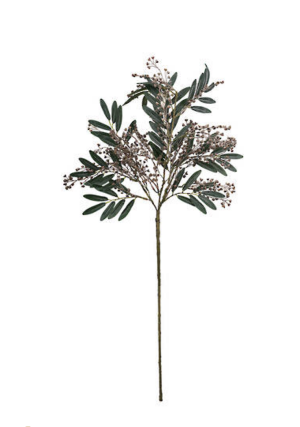 Angrophora Gum Branch 93cm
