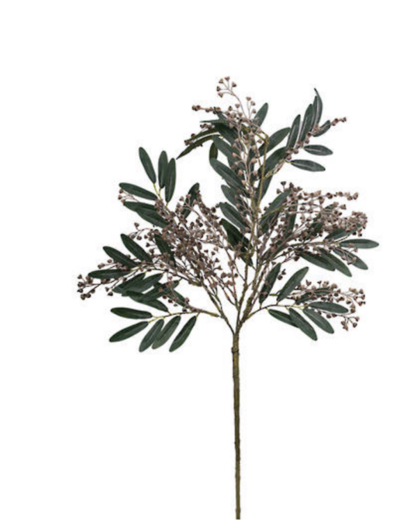 Angrophora Gum Branch 93cm - Image 2