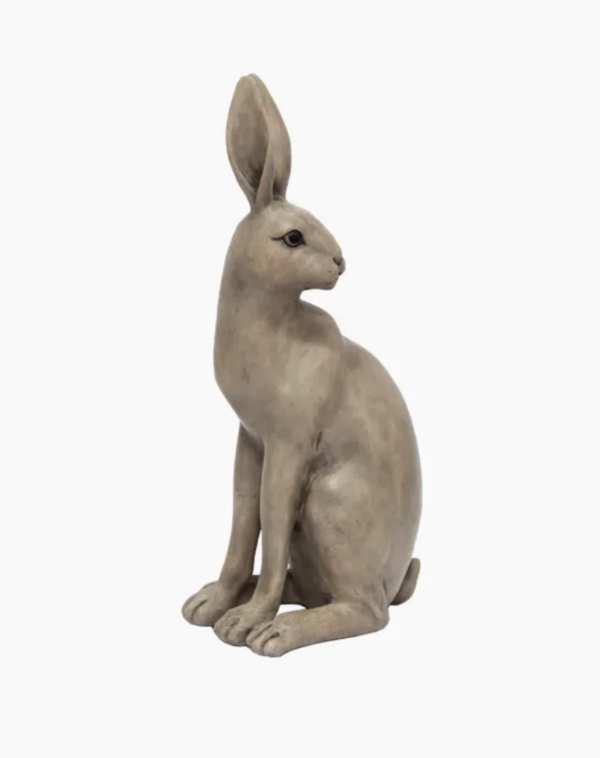 Harold the Hare Turning Brown