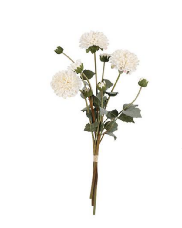 Pompon Dahlia Bundles