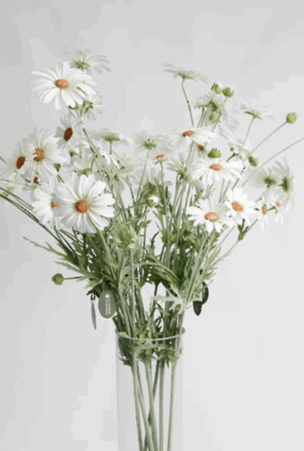 Daisy Spray White - Image 2