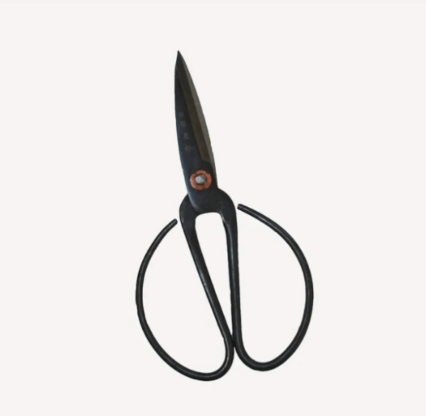 Black Herb Scissors Large