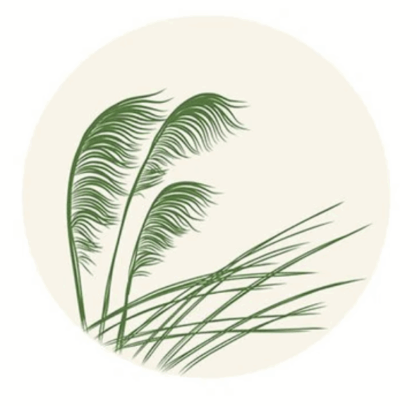 NZ Themed Cork Coasters - Image 7