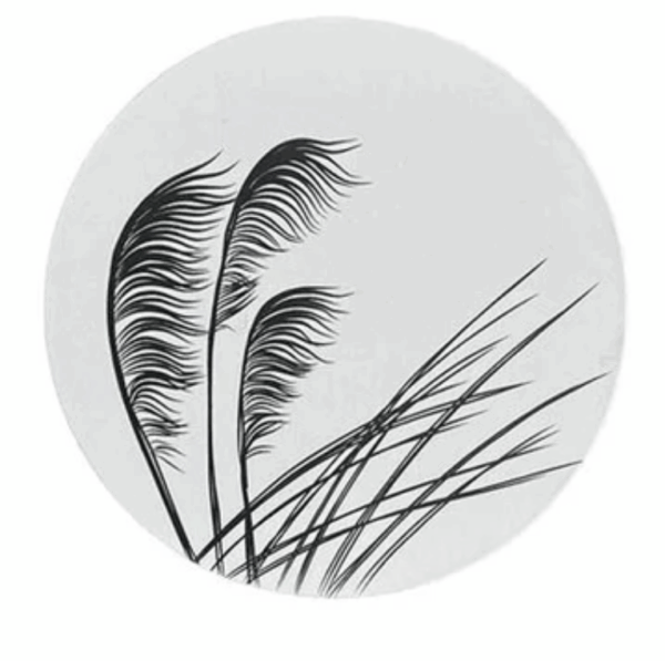 NZ Themed Cork Coasters - Image 10
