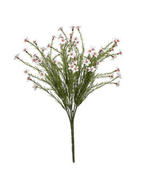 Wax Flower Bush 40cm Cream
