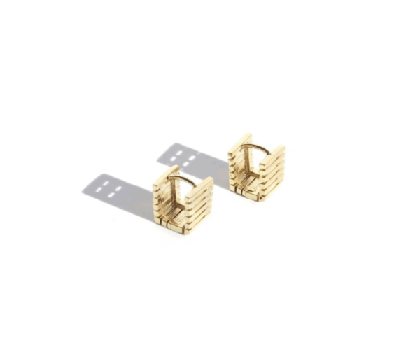 Earrings | Box Sleepers