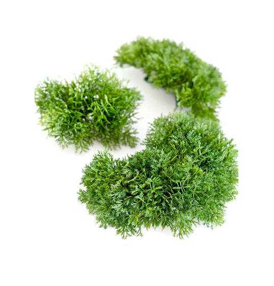 Moss Shapes Artificial Set of 3