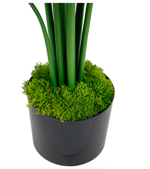 Moss Shapes Artificial Set of 3 - Image 3