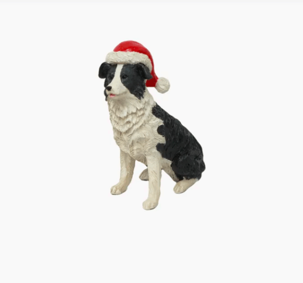 Sheep Dog with Santa Hat