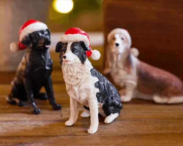 Sheep Dog with Santa Hat - Image 2