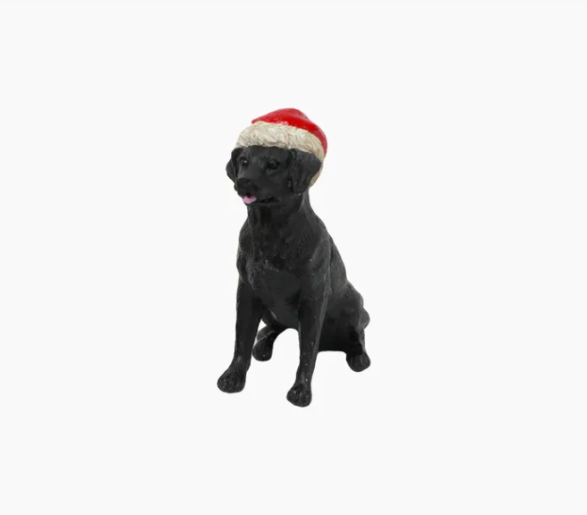 Black Dog with Santa Hat