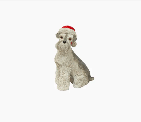 Schnauzer with Santa Hat