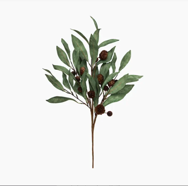 Eucalyptus & Brown Berry Wood Branch