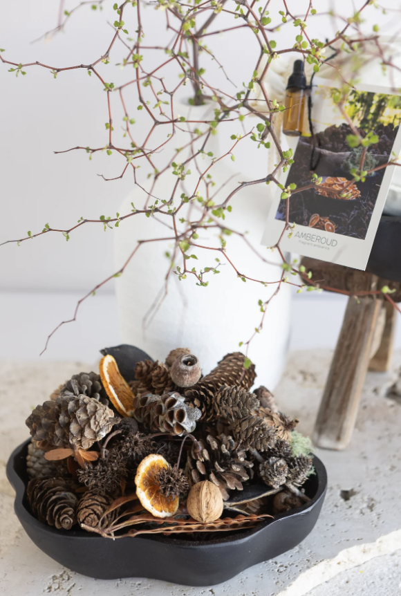 FOREST FLOOR - AMBEROUD - Image 2