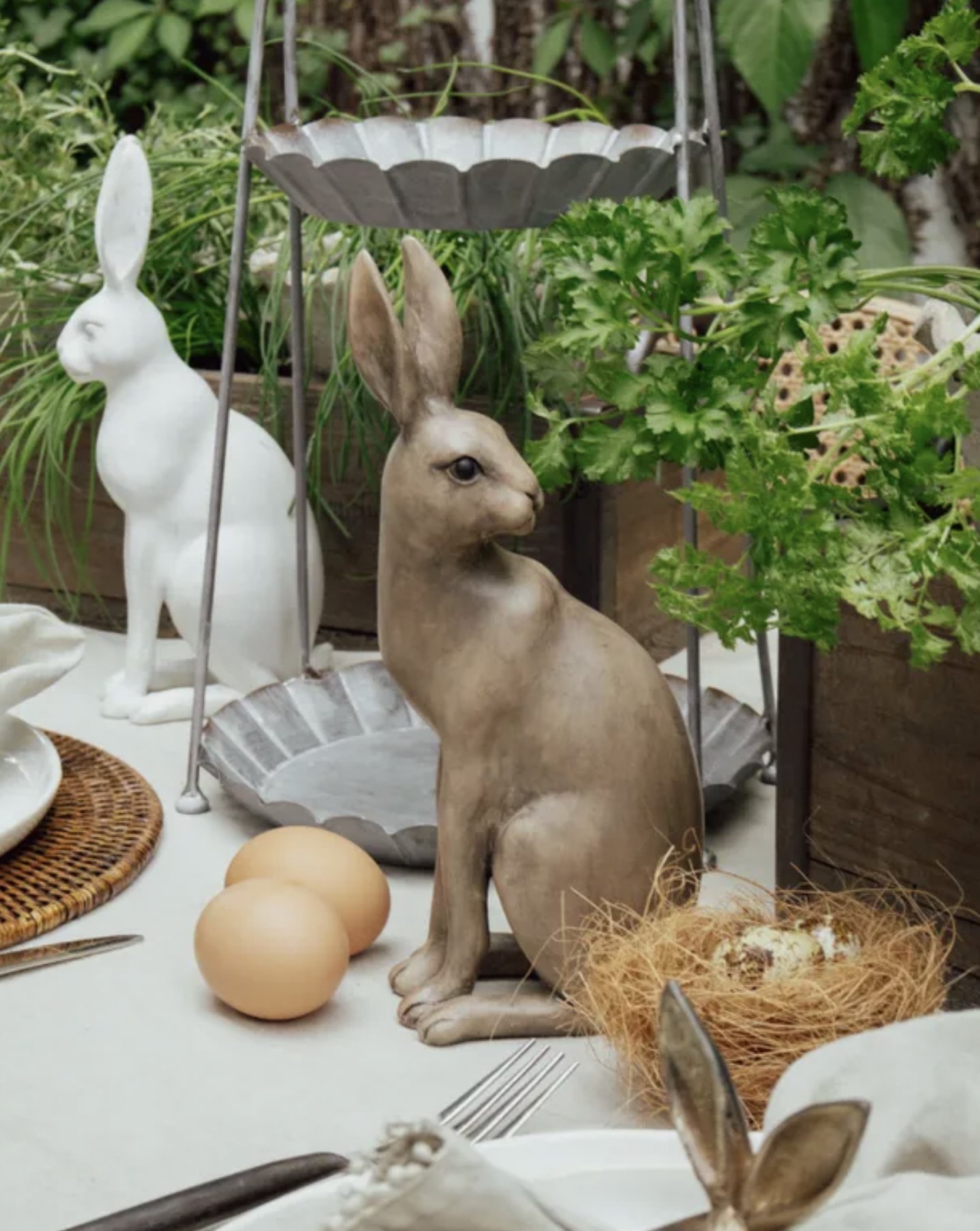 Harold the Hare Turning Small Brown - Image 2