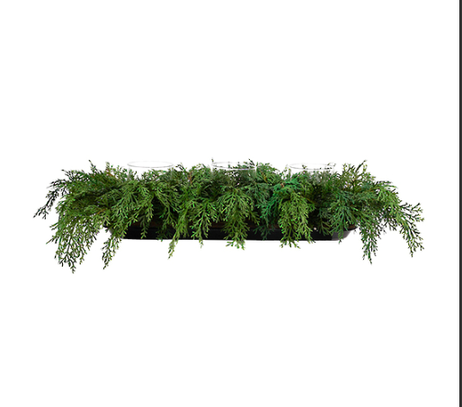 Cypress T/Light Holder x3 - Image 2