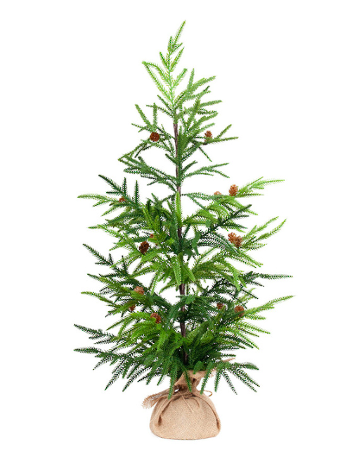 Fir Potted Tree w. Burlap LGE