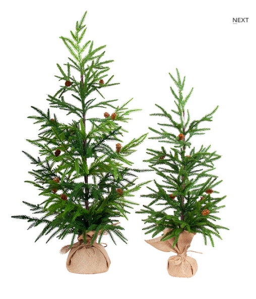 Fir Potted Tree w. Burlap LGE - Image 2