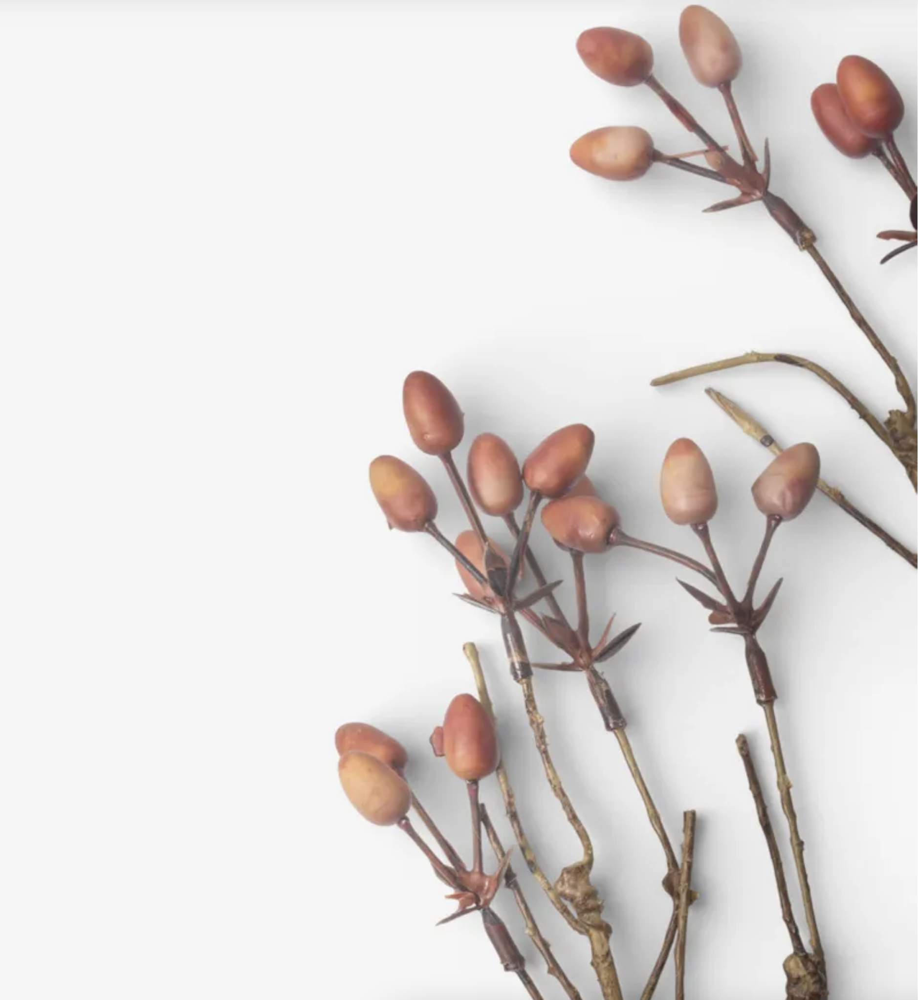 Burnished Berries Branch 70cm - Image 2
